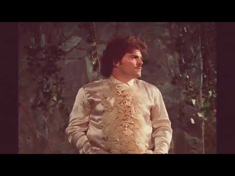 Back Alley Kat - Secret Tunnels