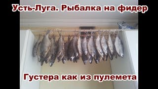 Рыбалка в усть луге на фидер