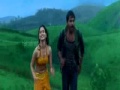 Hot Tamana
