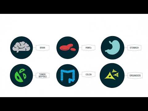How Single-Cell ATAC-Seq Works