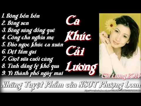 Những Bài Hát Tân Cổ Hay Nhất Của PHƯỢNG LOAN