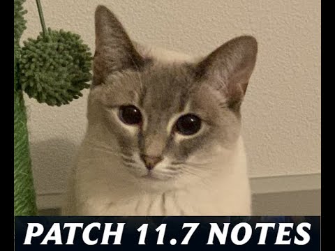 LEAGUE OF LEGENDS PATCH 11.7 ACCURATE REVIEW