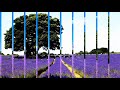 Ootha Ootha Ootha Poo WhatsApp Status