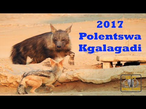 2017 Polentswa Kgalagadi: Discover Kgalagadi, Polentswa