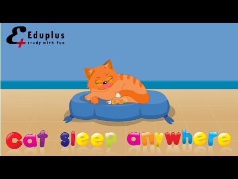 Cats sleep anywhere rhyme | Kids Rhyme | Funny nursery rhymes | Kindergarten rhymes