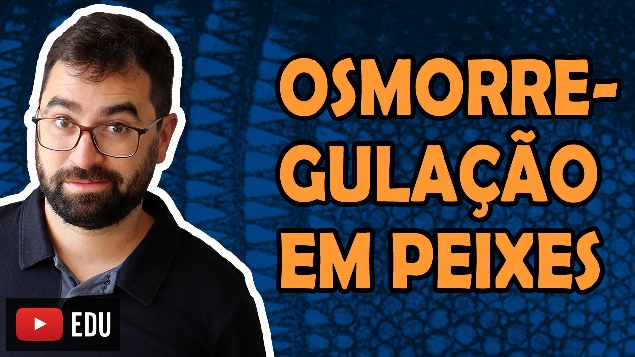 Osmorregulação em peixes - Aula 34 - Módulo VI: Zoologia | Prof. Gui