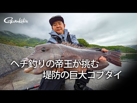 【G WORLD】#43 瀬戸内のコブダイにヘチ釣りの帝王が挑む