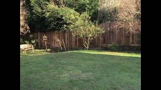 140ft of Closed Boarded Fencing | Nick Smith Fencing