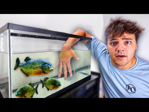 I got ATTACKED by a PIRANHA!! (do not try this!)