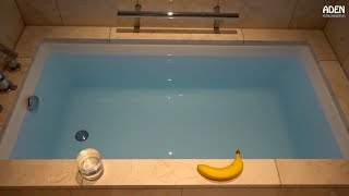 $600 - Tokyo's biggest hotel room