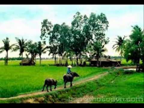 Thể hiện bởi Trúc Quyên