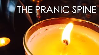 Download lagu Shala Teaching: The Pranic Spine mp3