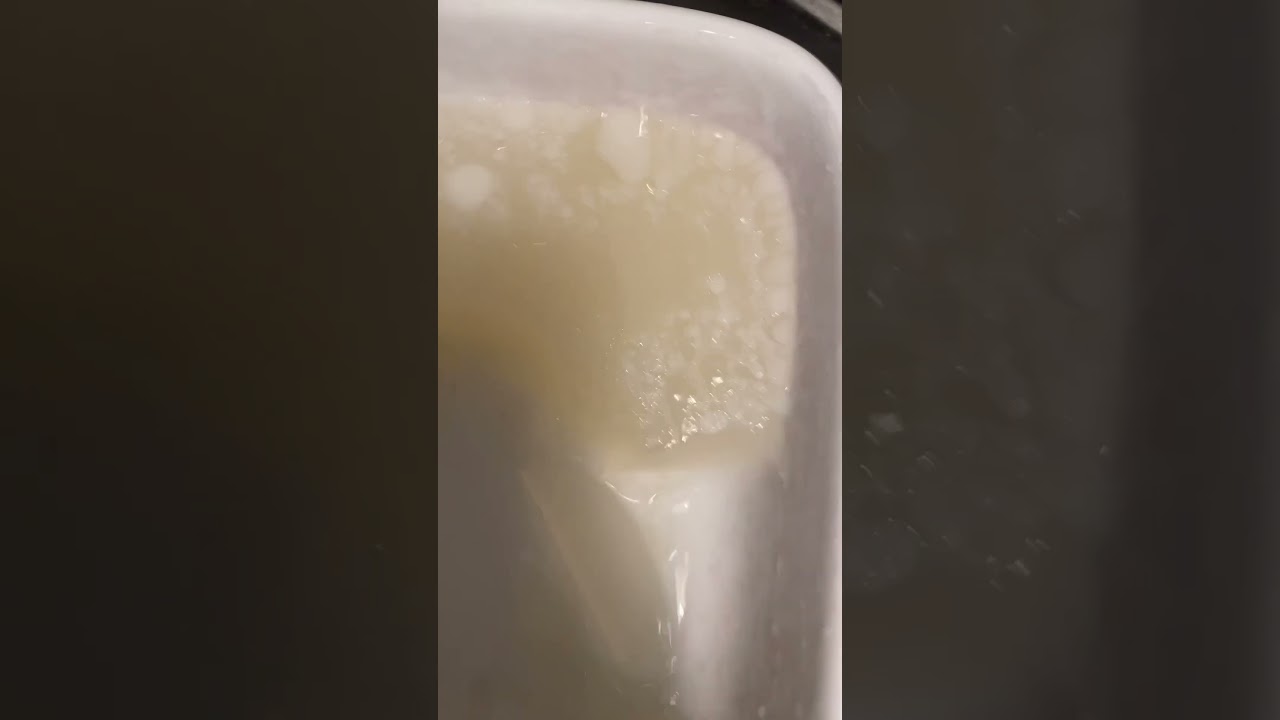 豚足から溶け出したコラーゲン！　これを毎日みそ汁やスープに混ぜて飲んでいます。肌がプルプルもちもちしてくるし、骨や関節、筋、筋肉の栄養にもなってるはず🩵