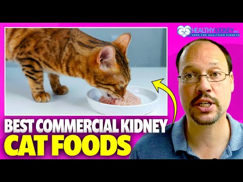 List of Best Cat Food for Kidney Disease | Commercial Cat Food For Kidney Disease You Can Purchase