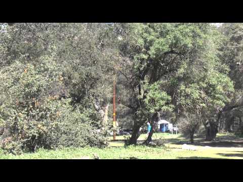 Paul McBeth Eagle - Oak Grove DGC Hole 8