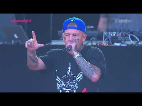 swollen members openair frauenfeld 2015 live 720p