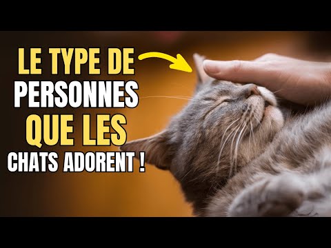 Cats forever remember people who do these 10 things