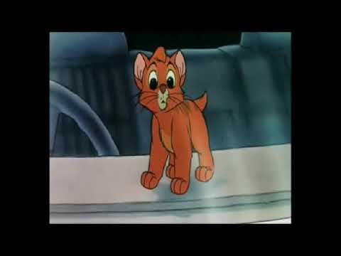 The Little Kitten Boy Part 7: Oliver's Gift of Love/Finale