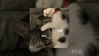 Download lagu Hanin dhiya - roman picisan(speed up) mp3