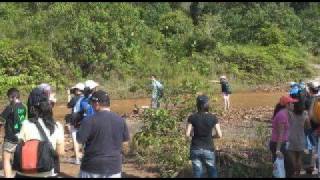 preview picture of video 'River Study at Sungai Pelepah'