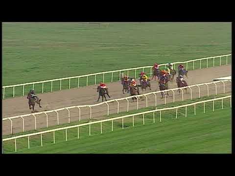 rm 20191206 02 p onthehouseiitris