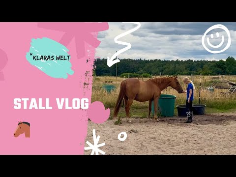 My stable routine with a horse 😍 | Vlog from the riding stable 😜😊 | @Klaras-Welt