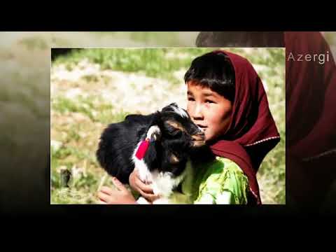 Azergi, Shahi Pari, Ali Zargham, new hazaragi song   Tune pk