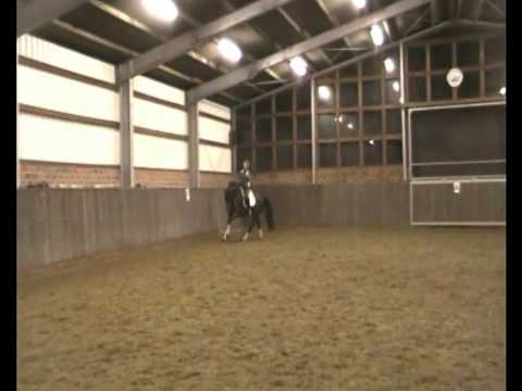 Hohenstein Jan 2010.mpg