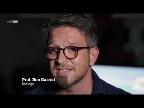 Tod am Kreuz - Rätselhafter Fund in Cambridge (2024)