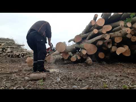 TEST STIHL MS 180 2MIX
