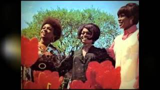 THE MARVELETTES so long baby
