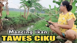 Download lagu Mancing ikan di sungai pedesaan yang indah di temani embun pagi yang sejuk mp3