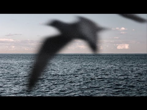 NASTYA KAZANTSEVA - VACANT