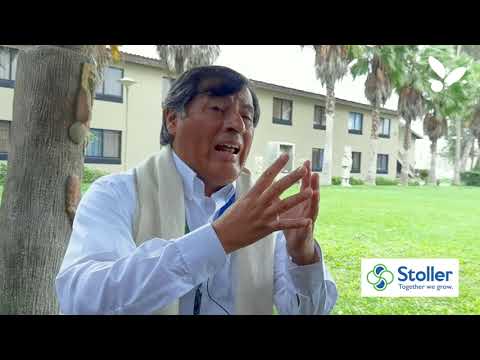 Stoller asegura la rentabilidad de la operación agrícola (VIDEO)