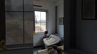 Straight line winds in decaturville tn 10 25 19