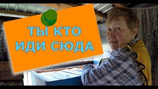 🔴🔴🔴 В гостях на пасеке у пчеловода покупаю мед.Крым 2018
