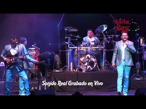 Si Acaso Vuelves - Los Freddy's (En Vivo)