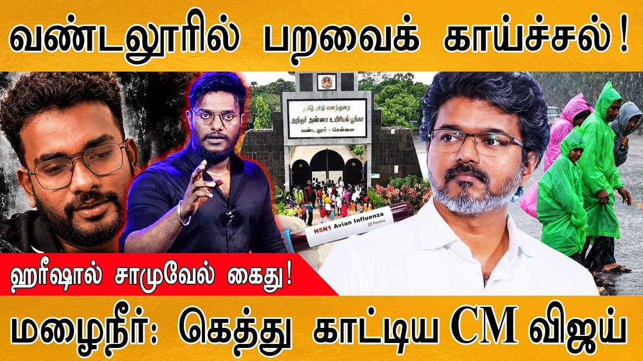 வண்டலூரில் பறவைக் காய்ச்சல்! | ஹரீஷால் சாமுவேல் கைது