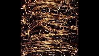 Zeni Geva - Freedom Bondage