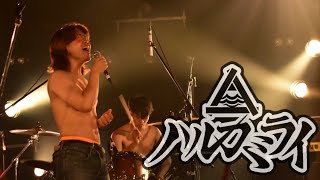 ハルカミライ/関大軽音I部-春の定期演奏会2026