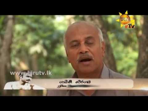 Hiru TV