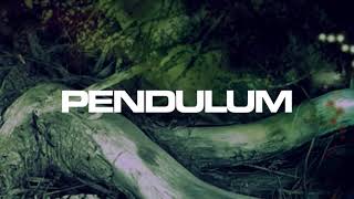Pendulum - Hold Your Colour (2005 February Version)
