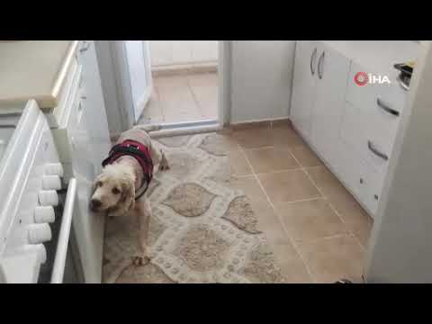 Alanya'da 131 bin sentetik ecza hap ele geçirildi