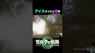 初戦はみんなこうなるよね？ #ゼルダの伝説ティアーズオブザキングダム
