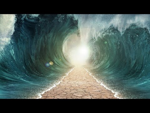 Shkëputje: "Vlera e muajit Muharrem dhe ditës Ashura!" -Hoxhë Sead Kelmendi