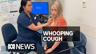 Whooping cough spike prompts warning to pregnant women | ABC News