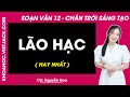 Soạn bài Lão Hạc - trang 31, 39 | Bài 2 | Ngữ văn 12 | Chân trời sáng tạo