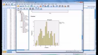 Conducting a Shapiro-Wilk Normality Test in SPSS