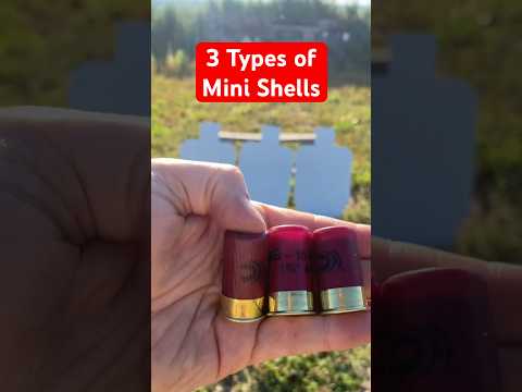 “SHORTY” Federal *tested* Which One Would You Pick? #gun #shooting #fullautofriday #demolitionranch