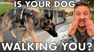 Distraction-Proof Your Walks!